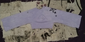 Purple Outlaw Star Cropped Asymmetrical Long Sleeve 5